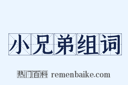 小兄弟组词是什么意思的图片